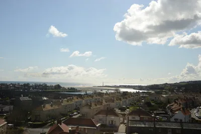 DSC_7246 (Large).JPG